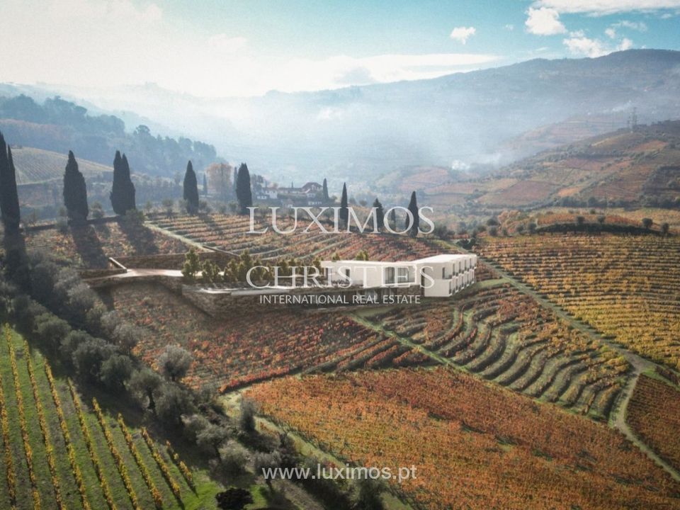 Farm i Lamego, Viseu - foto 3