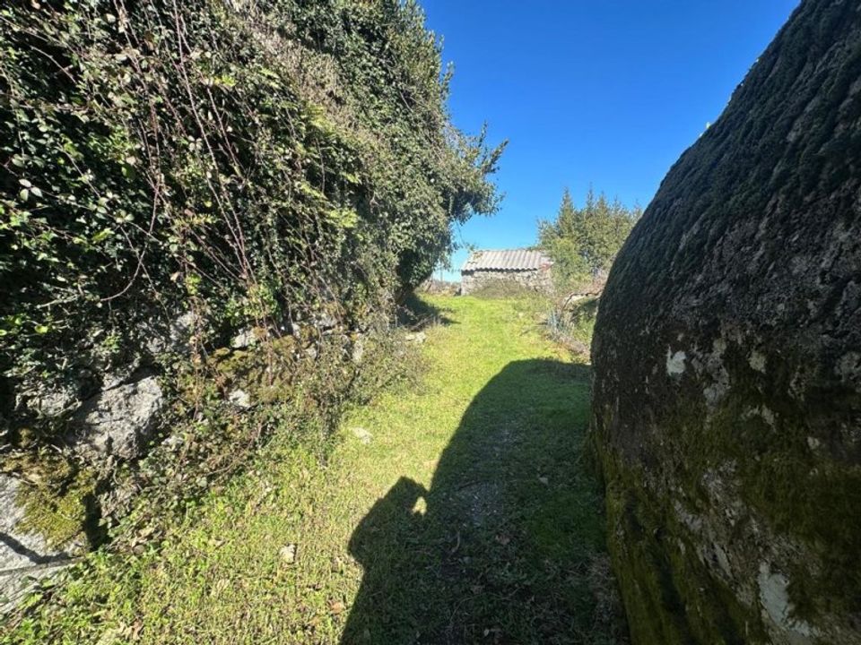 Landejendom i Bico e Cristelo, Viana do Castelo - foto 5