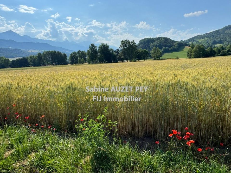 Terra a Selonnet, Alpes-de-Haute-Provence - foto 5