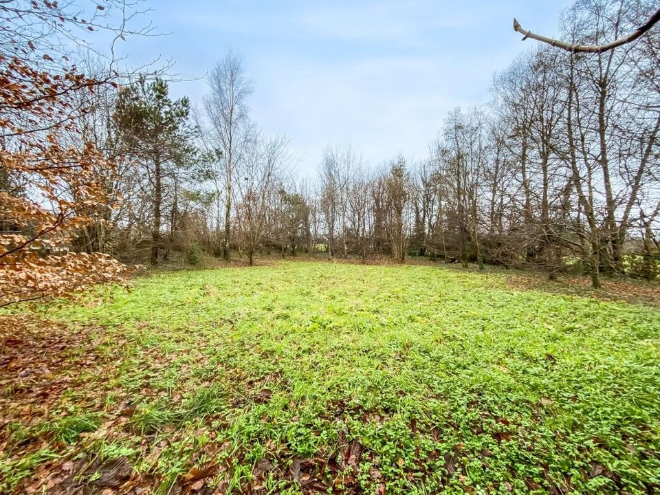 Villa i Trans, Mayenne - foto 4