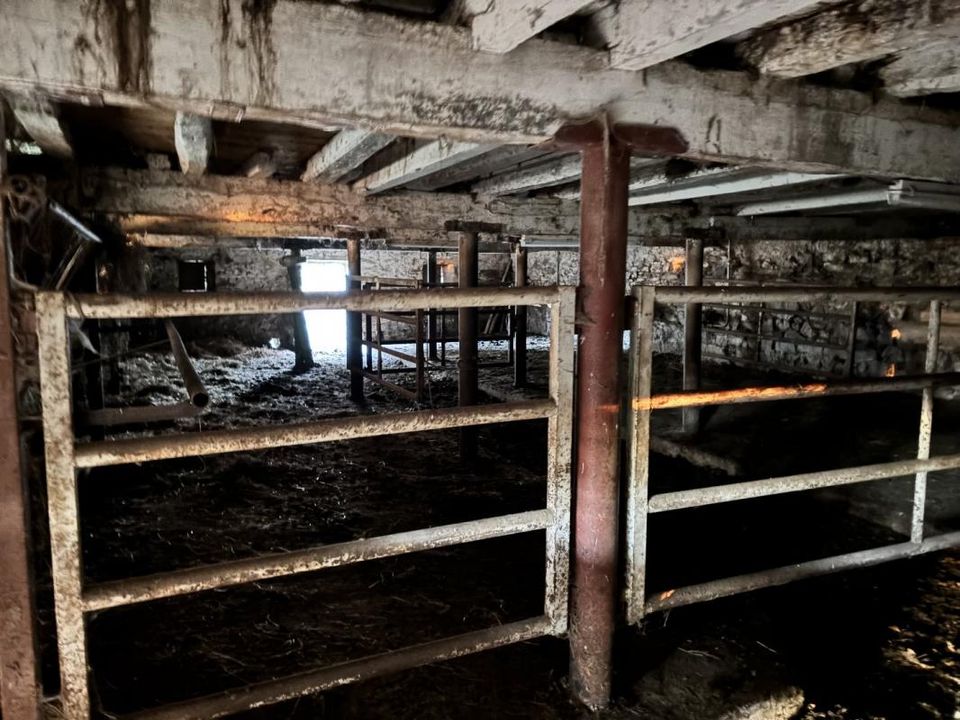 Farm hus i Naucelles, Cantal - foto 4