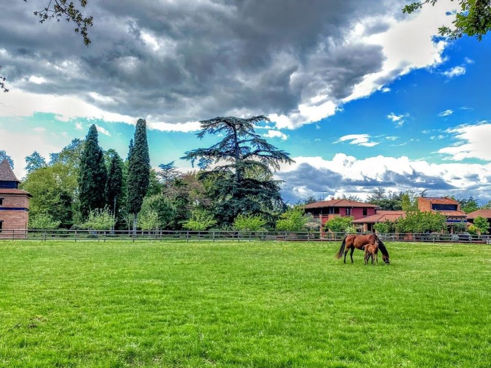 Landejendom i Montauban, Tarn-et-Garonne - foto 5