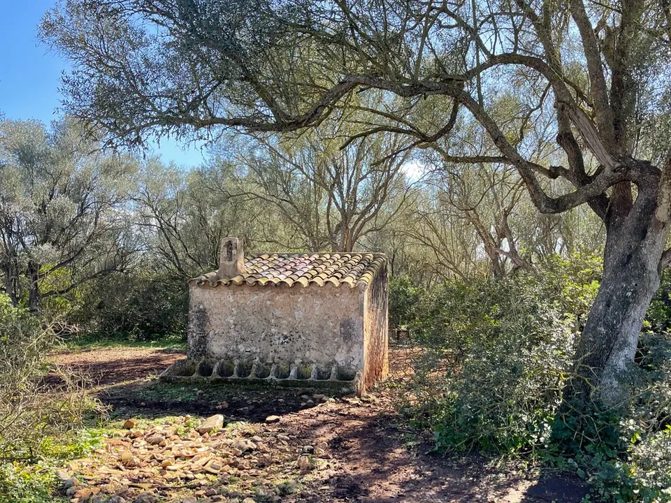 Helårsgrund i Felanitx, Mallorca - foto 2