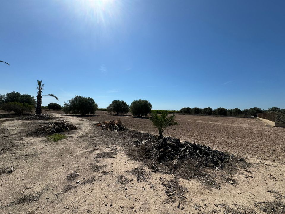 Herregård i La Marina, Alicante - bilde 4