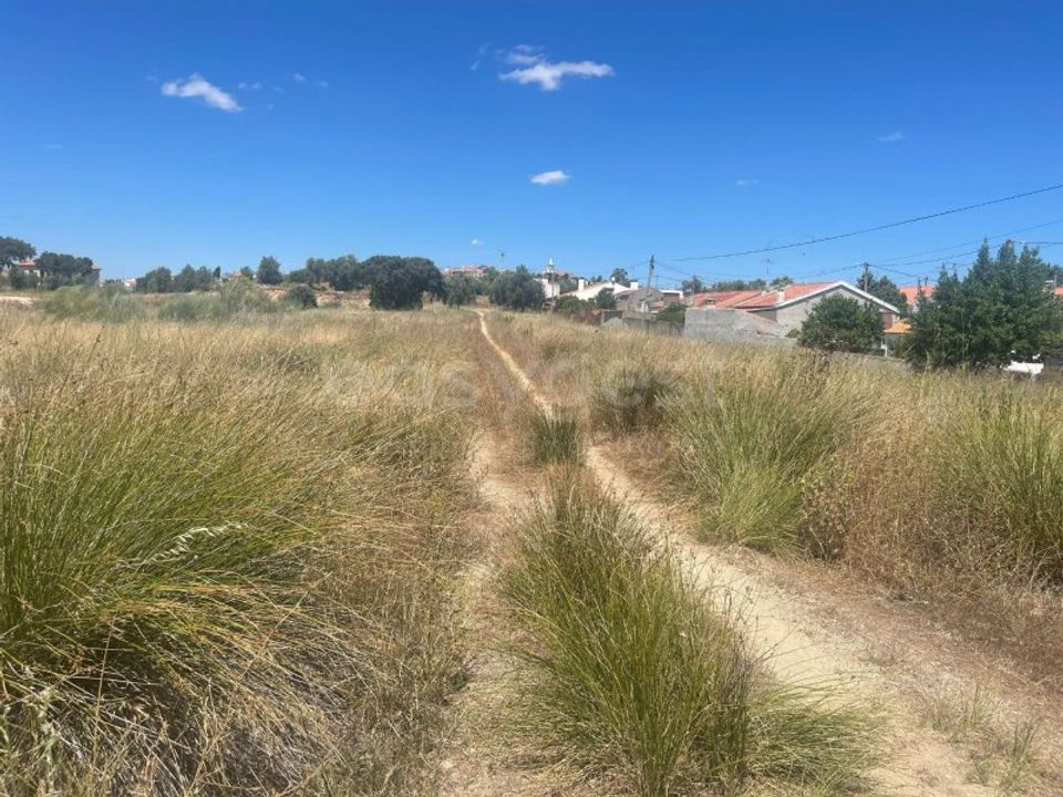 Terreno en Avis, Portalegre - foto 1