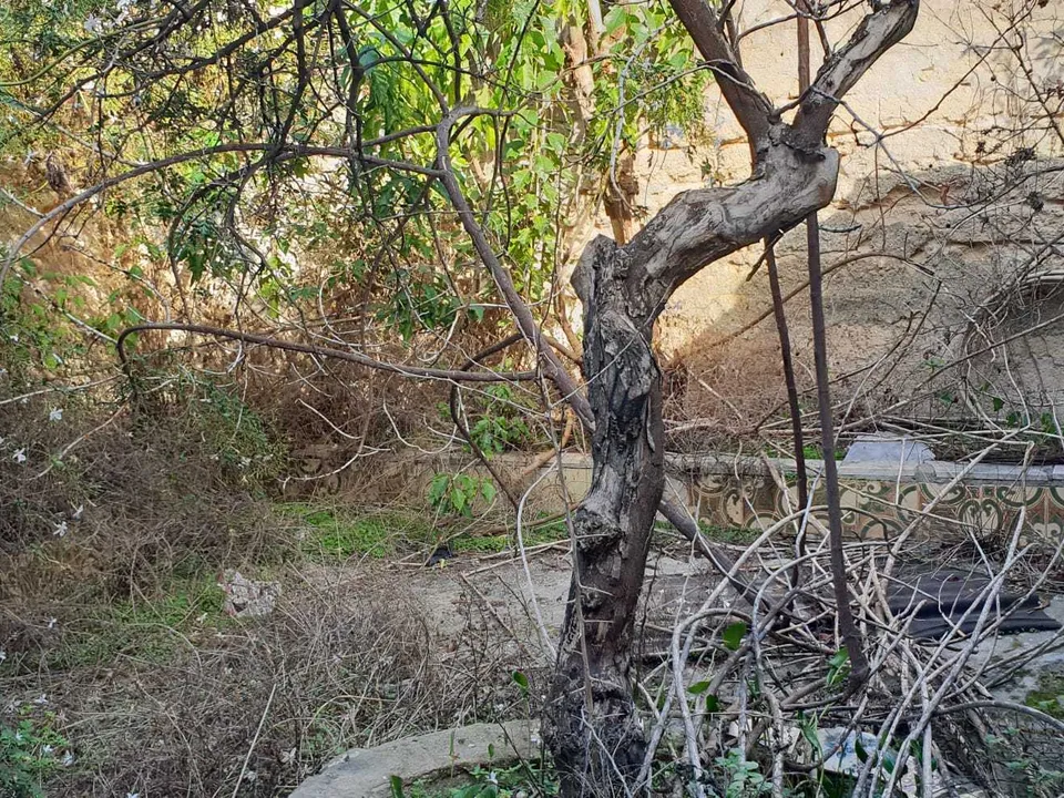 Helårsgrund i Siracusa, Siracusa - foto 3