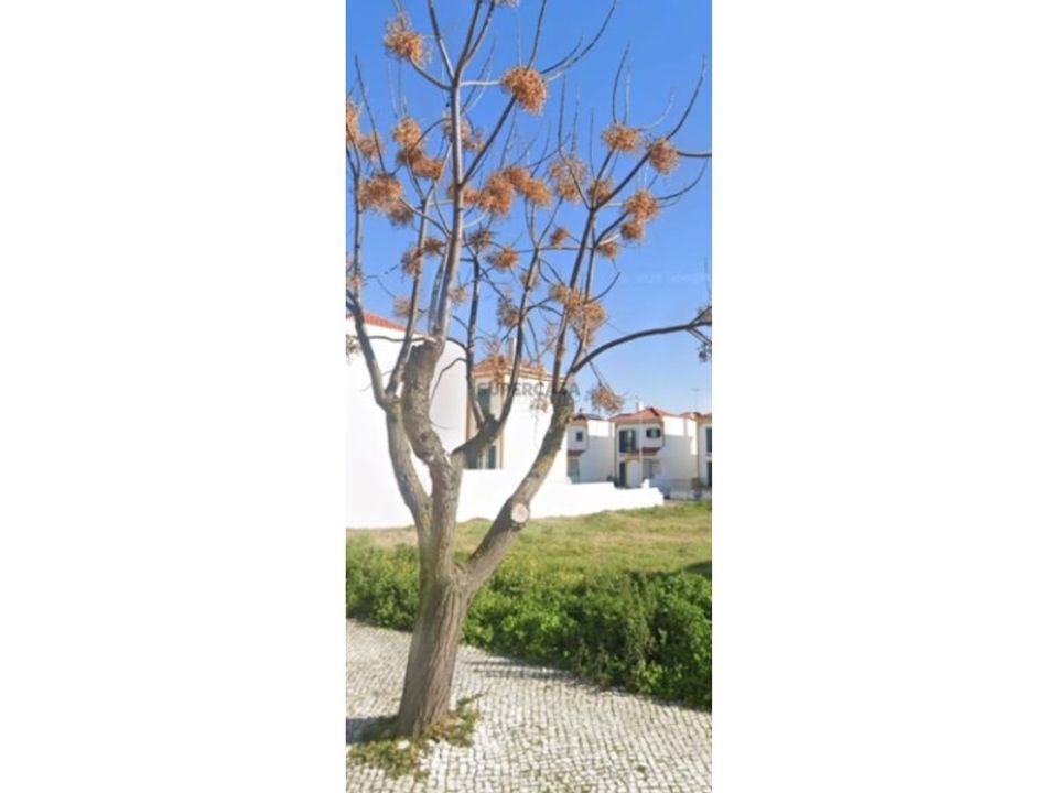 Helårsgrund i Azambuja, Lisbon - foto 4