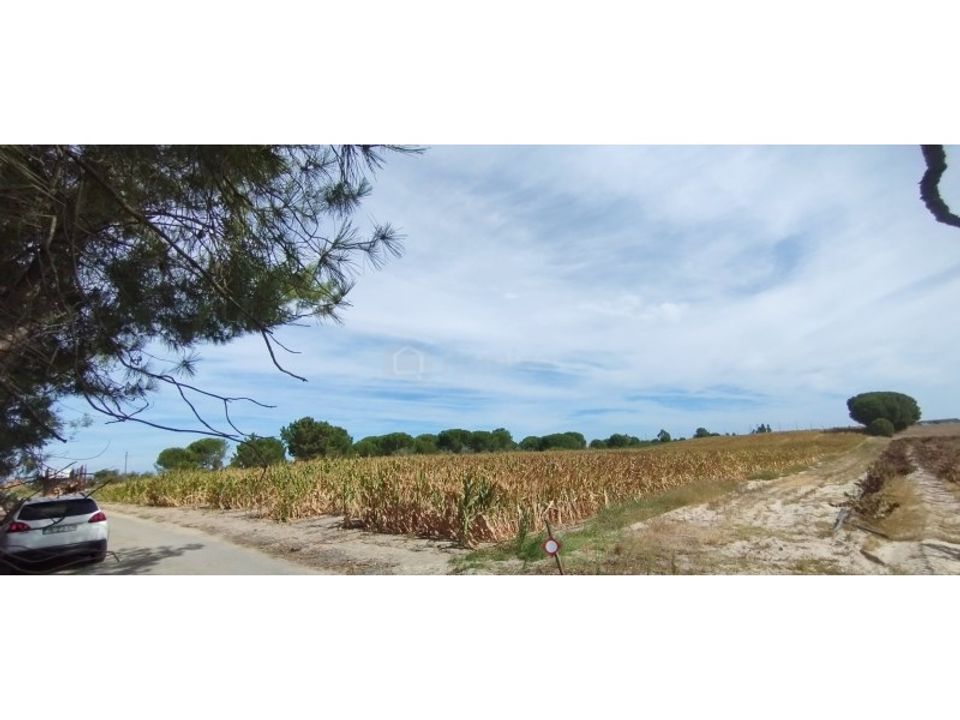 Helårsgrund i Montijo, Setubal - foto 1