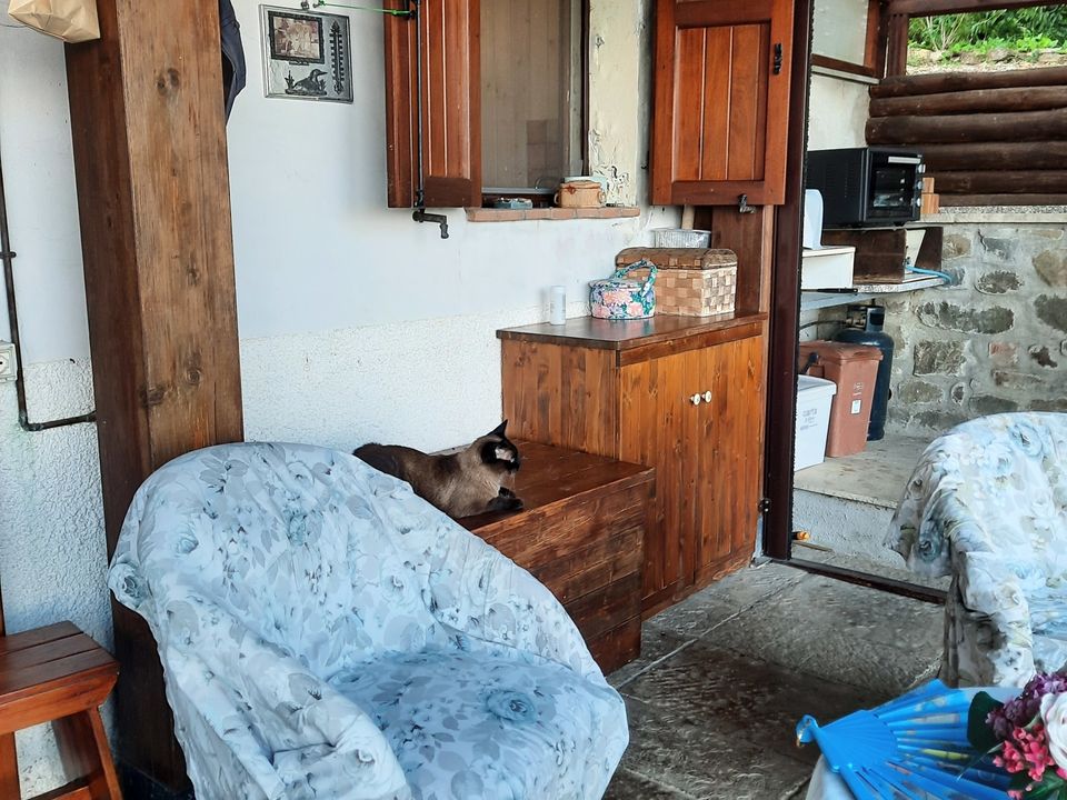 Villa i Santo Stefano di Magra, La Spezia - foto 4