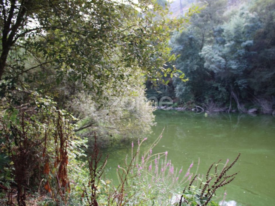 Helårsgrund i Viseu, Viseu - foto 2