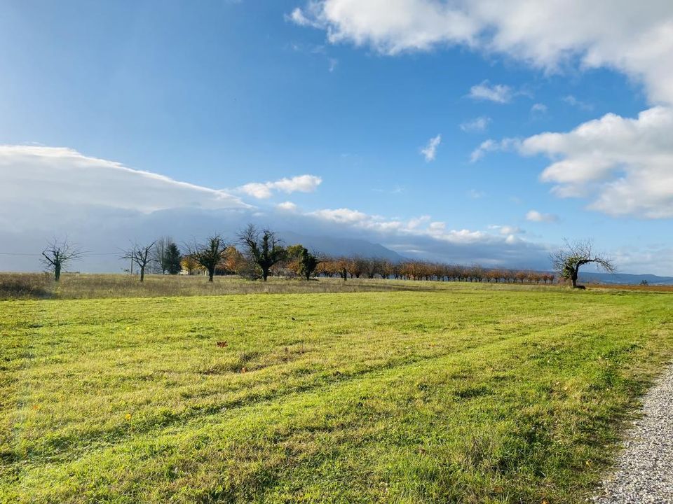 Helårsgrund i Saint-Hilaire-du-Rosier, Isere - foto 3