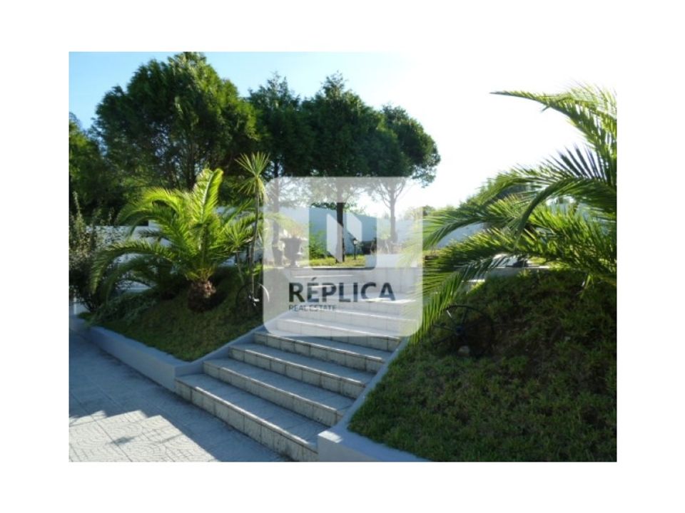 Villa i Oliveira do Douro, Porto - foto 3