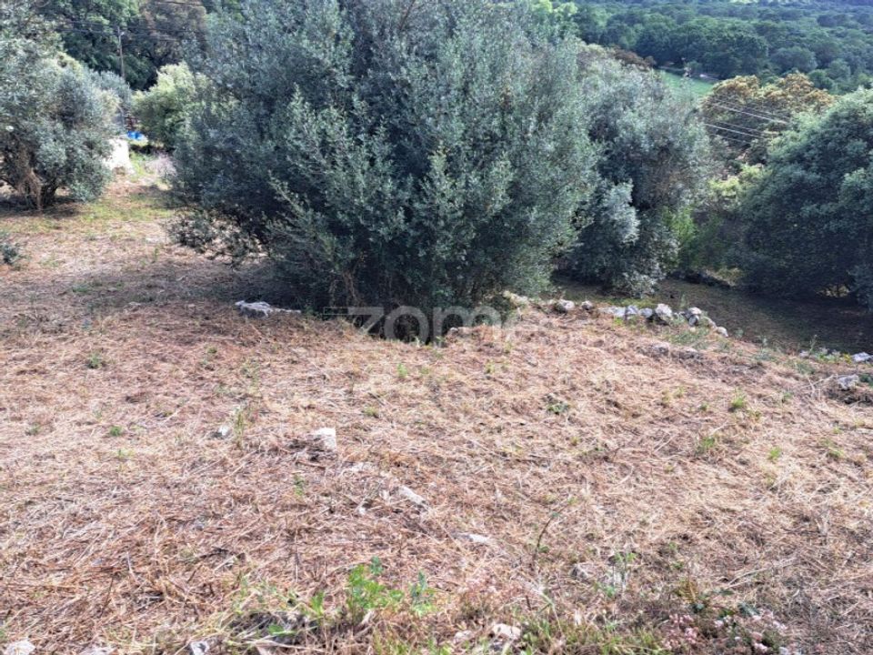Helårsgrund i Mira de Aire, Leiria - foto 2