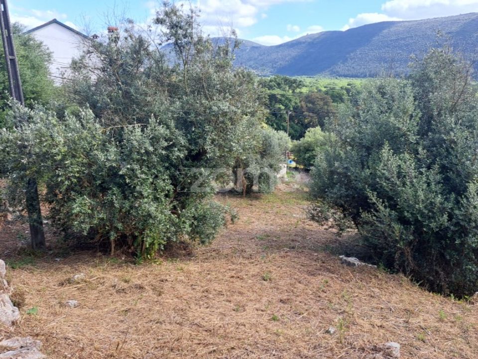 Helårsgrund i Mira de Aire, Leiria - foto 3