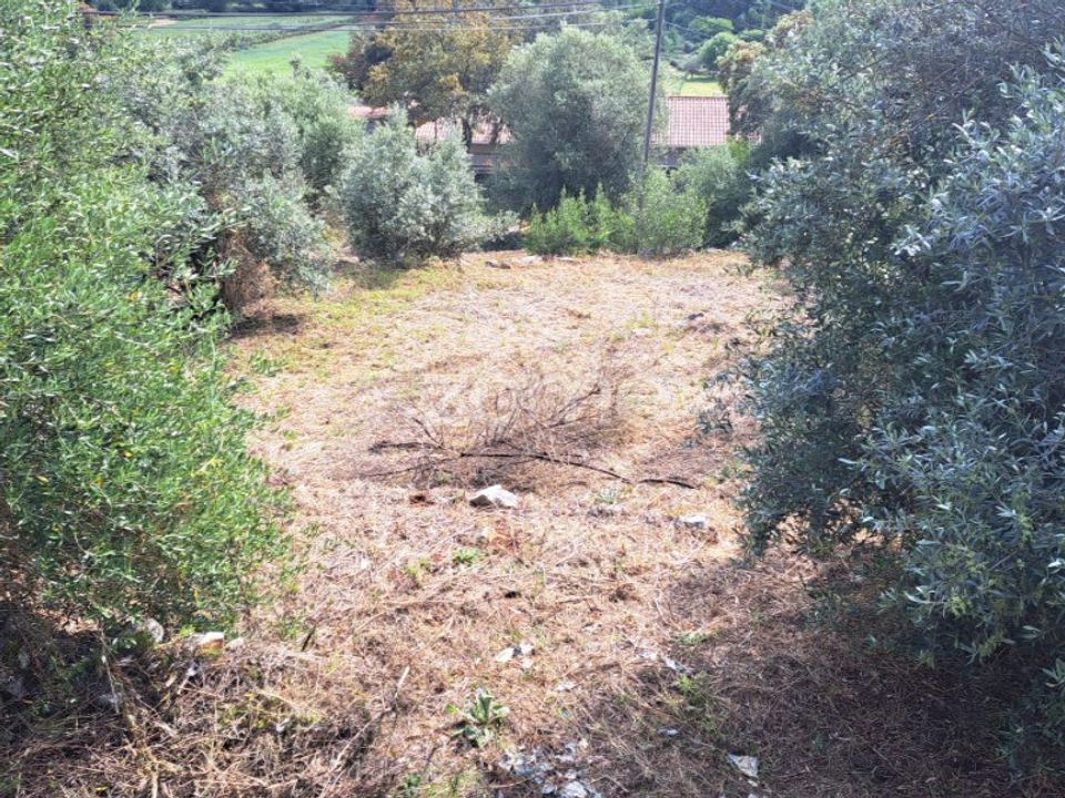 Helårsgrund i Mira de Aire, Leiria - foto 4