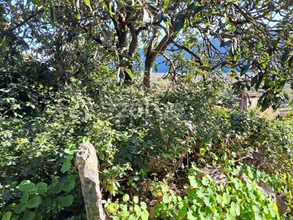 Helårsgrund i Mira de Aire, Leiria - foto 2