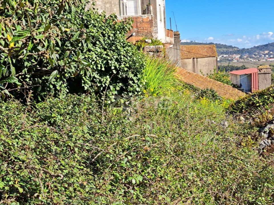 Helårsgrund i Mira de Aire, Leiria - foto 4