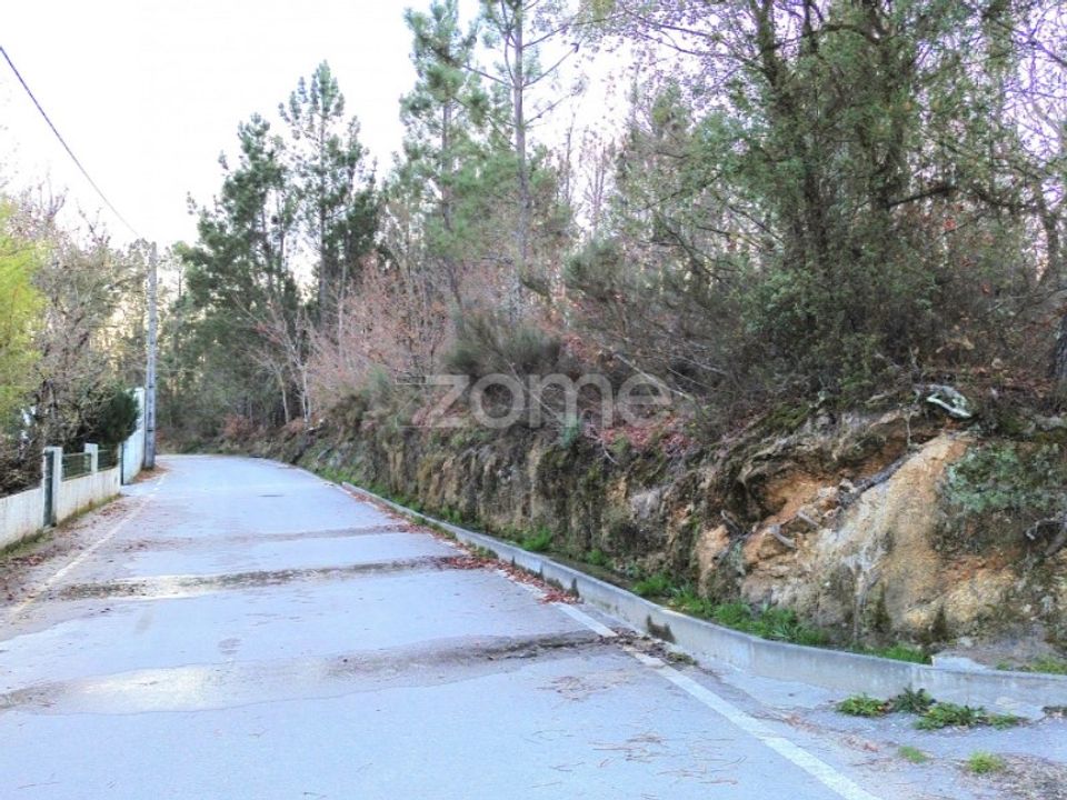Helårsgrund i Calde, Viseu - foto 3