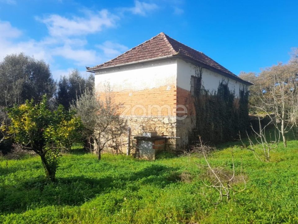 Villa i Pombal, Leiria - foto 3