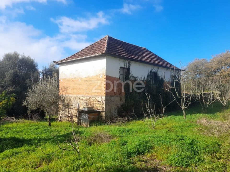 Villa i Pombal, Leiria - foto 4