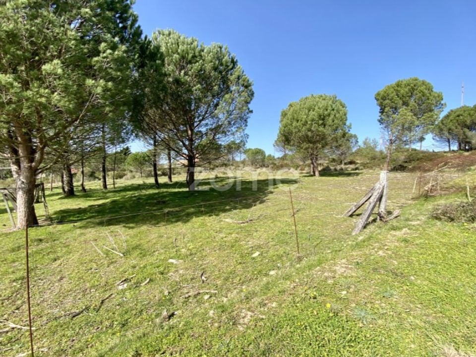 Helårsgrund i Vila Verde, Coimbra - foto 1