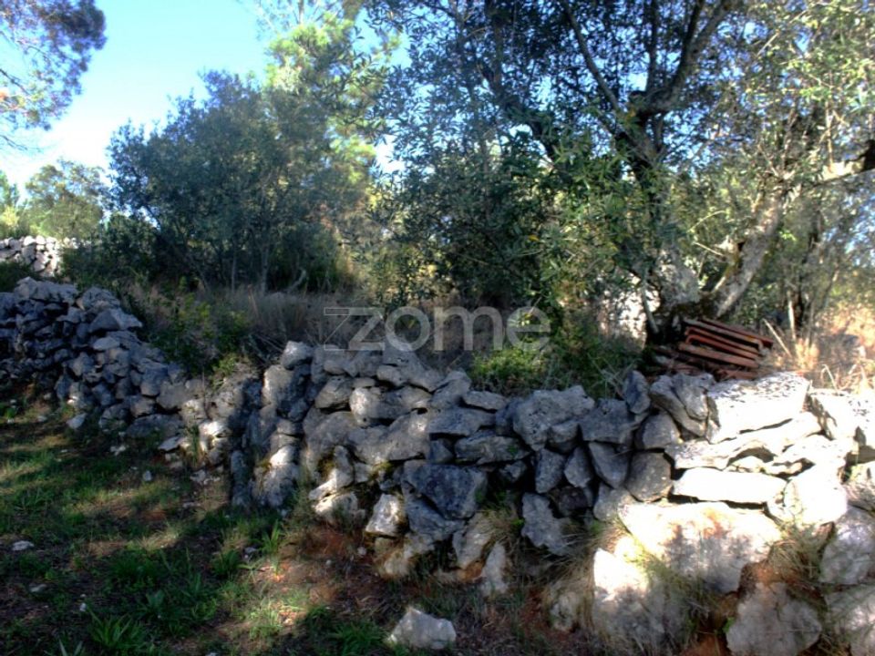 Helårsgrund i Mira de Aire, Leiria - foto 5