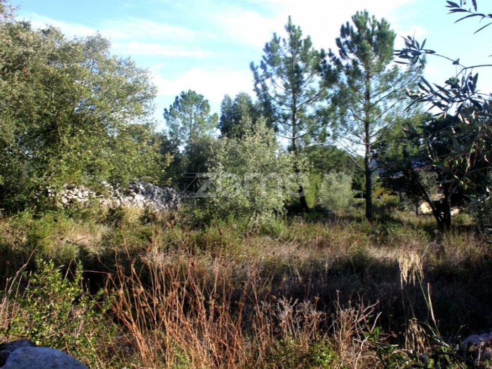 Helårsgrund i Mira de Aire, Leiria - foto 1