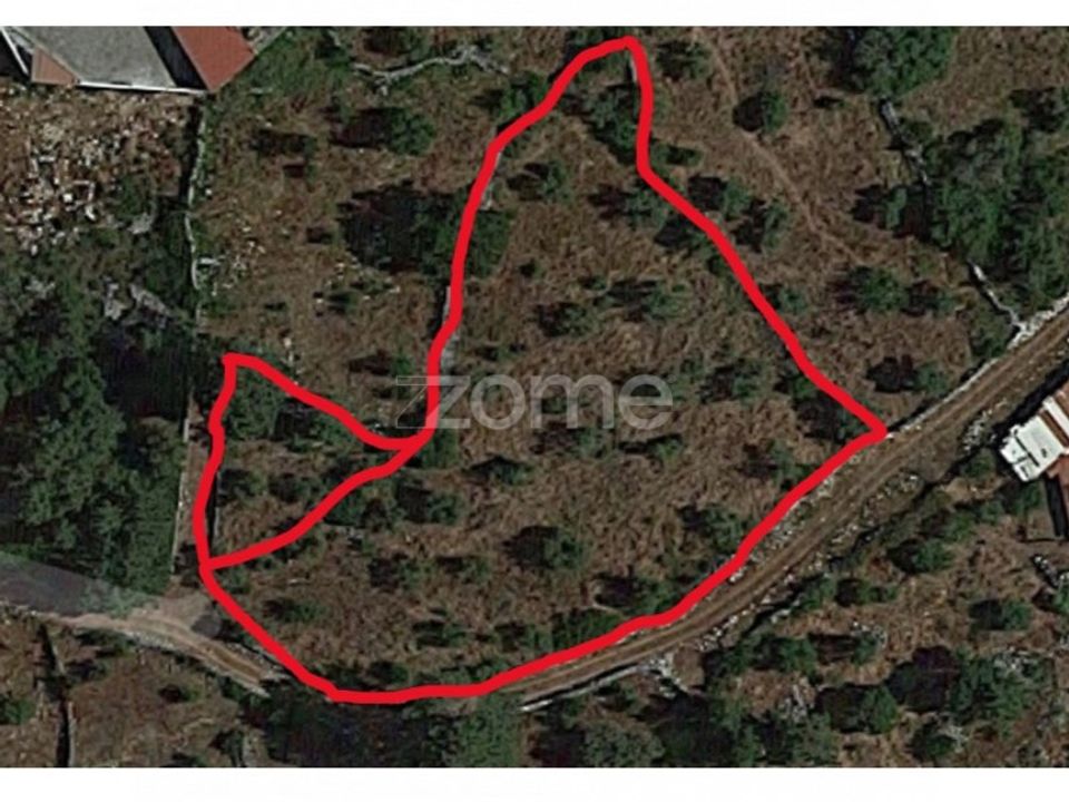 Helårsgrund i Mira de Aire, Leiria - foto 3