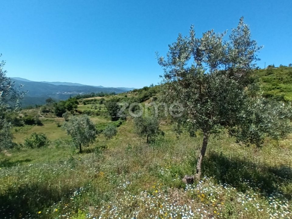 Helårsgrund i Oliveira do Hospital, Coimbra - foto 2