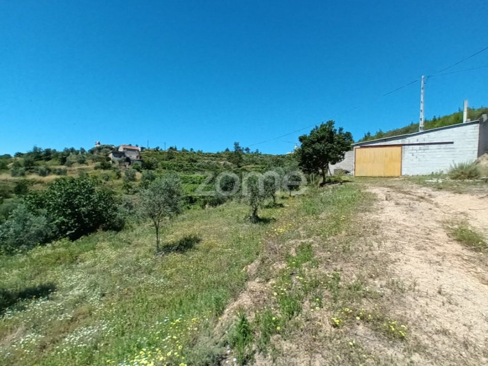 Helårsgrund i Oliveira do Hospital, Coimbra - foto 3