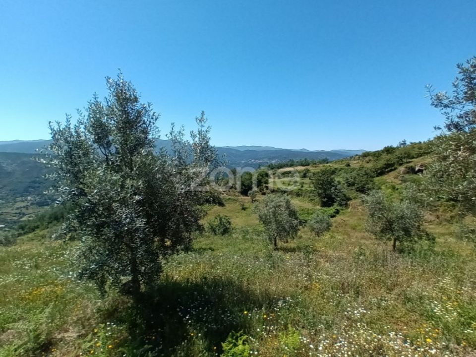 Helårsgrund i Oliveira do Hospital, Coimbra - foto 4
