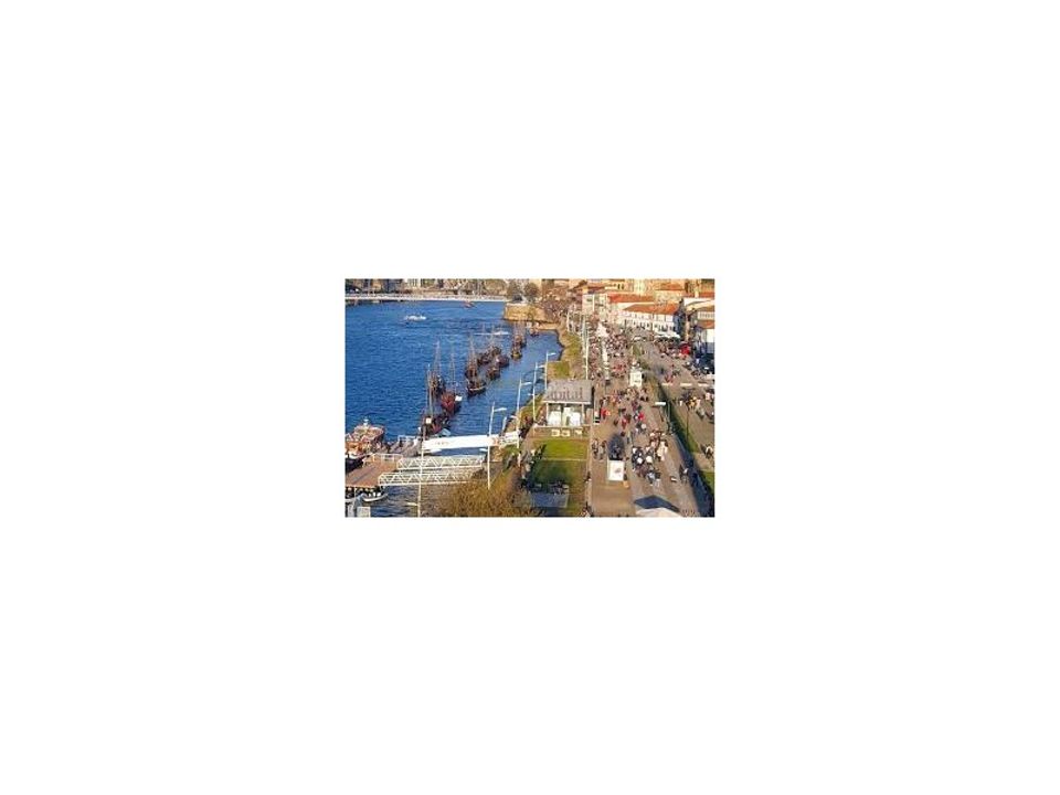 Erhvervsejendom i Santa Marinha do Zezere, Porto - foto 5