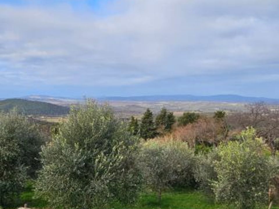 Tomt i Casole d'Elsa, Siena - bilde 1