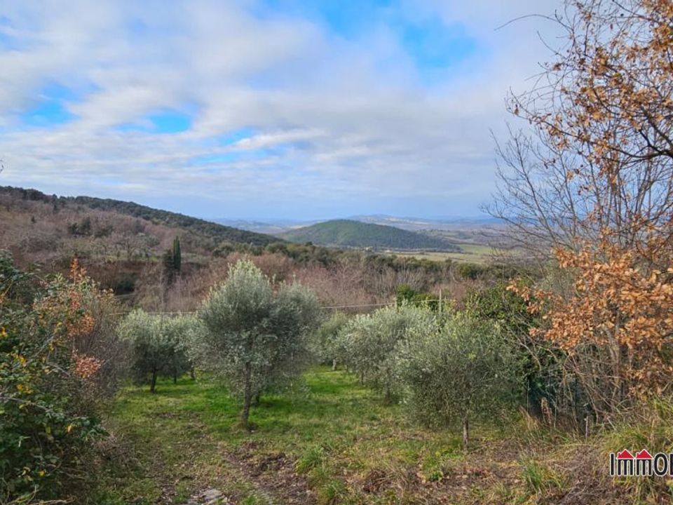 Tomt i Casole d'Elsa, Siena - bilde 2