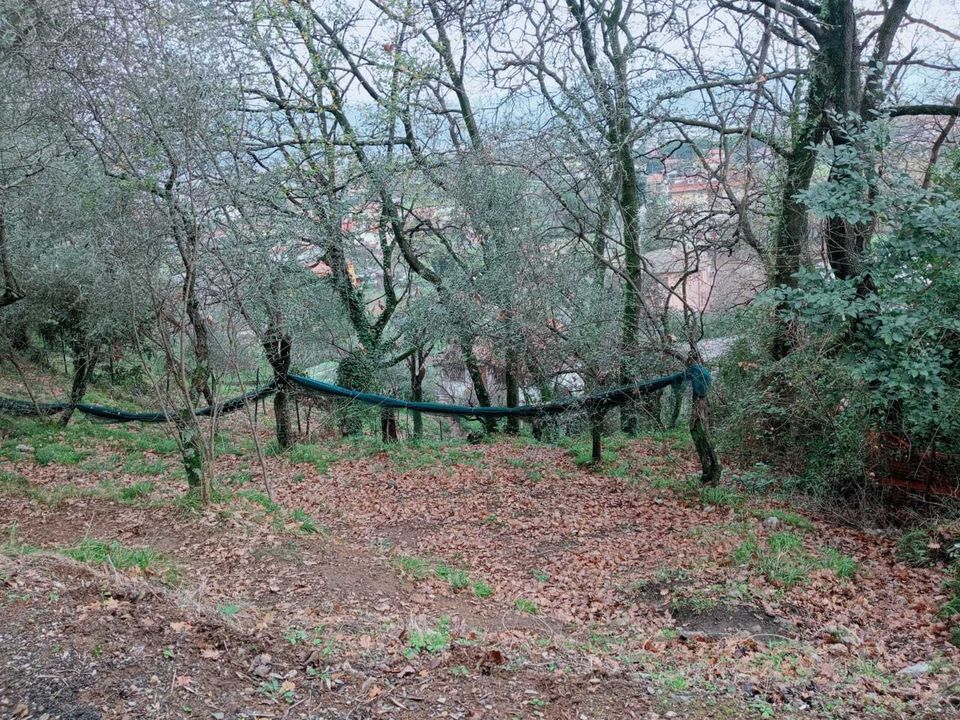 Helårsgrund i Ameglia, La Spezia - foto 1