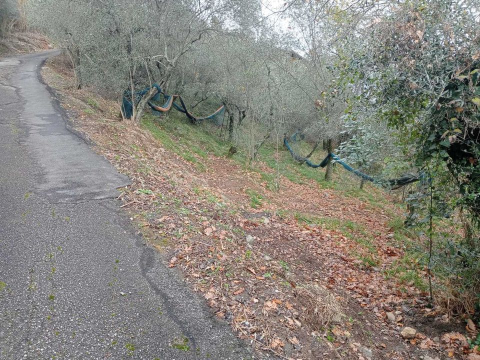 Helårsgrund i Ameglia, La Spezia - foto 5
