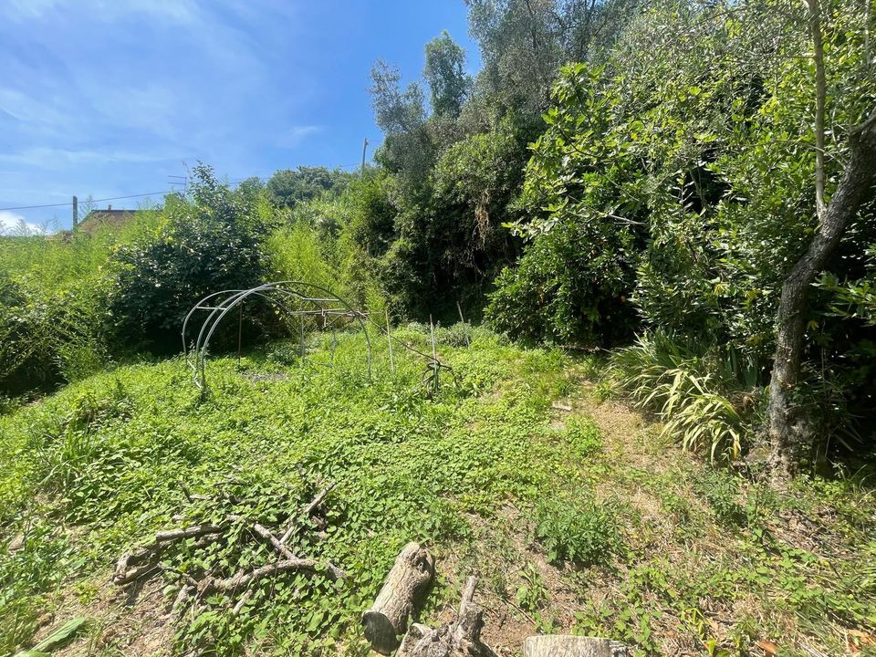 Villa i Ameglia, La Spezia - foto 2
