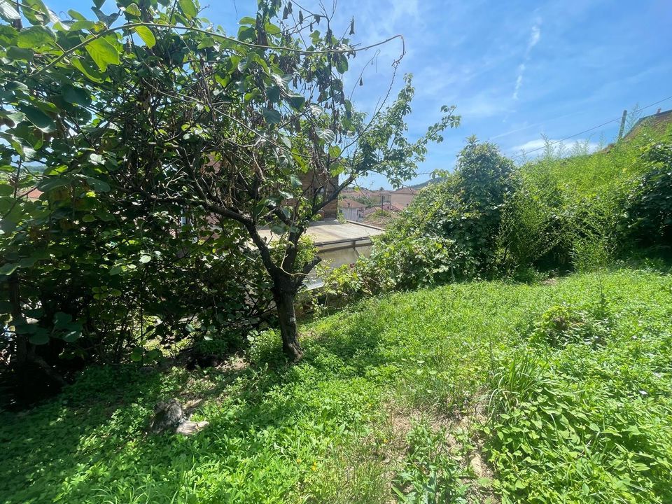Villa i Ameglia, La Spezia - foto 3