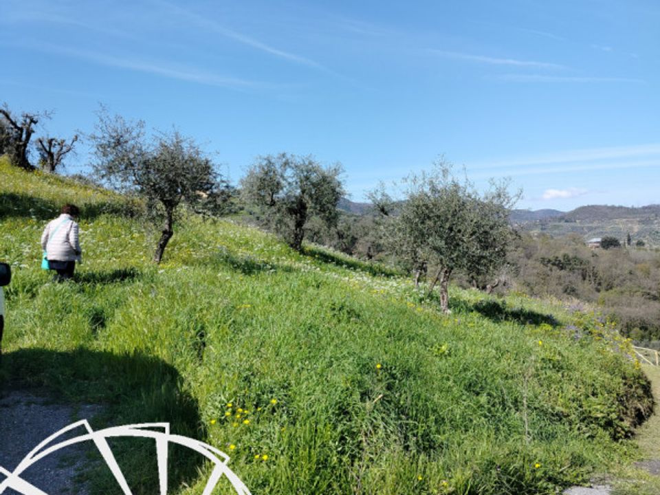 Helårsgrund i Carmignano, Prato - foto 2