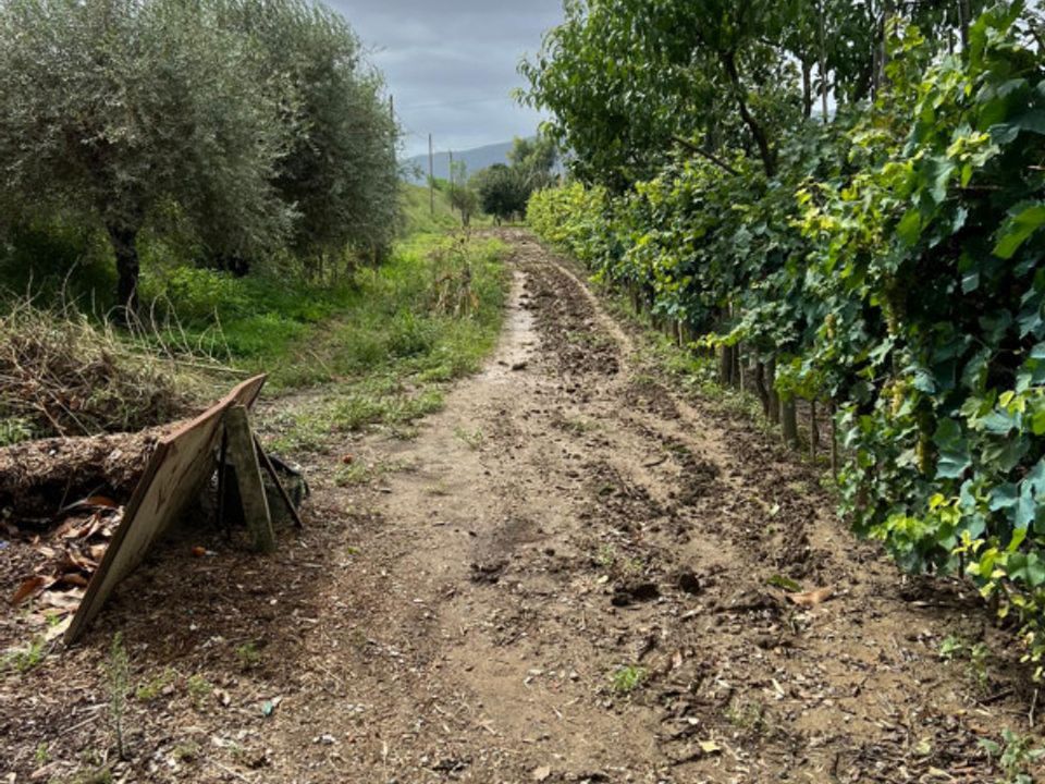 Grond in Prato, Prato - foto 1