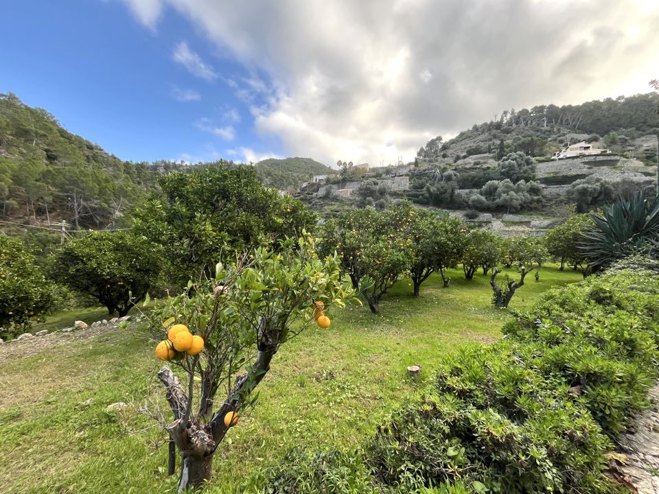 Finca i Banyalbufar, Mallorca - foto 5