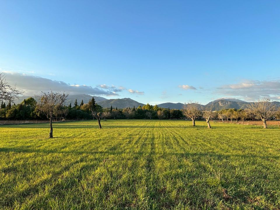 Helårsgrund i Selva, Mallorca - foto 1