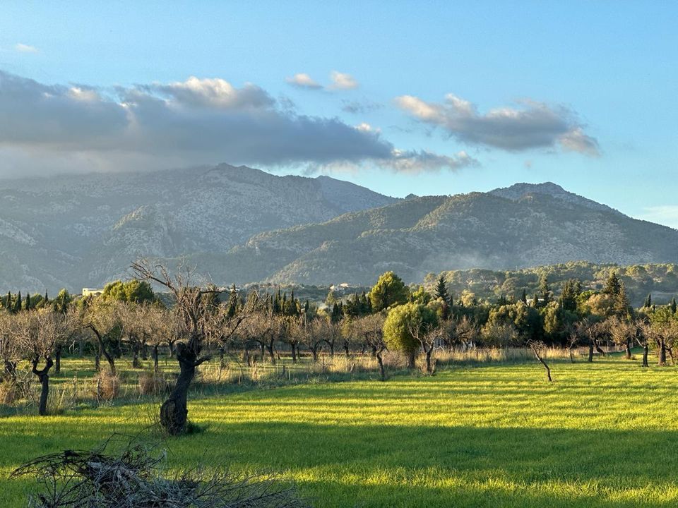 Helårsgrund i Selva, Mallorca - foto 5