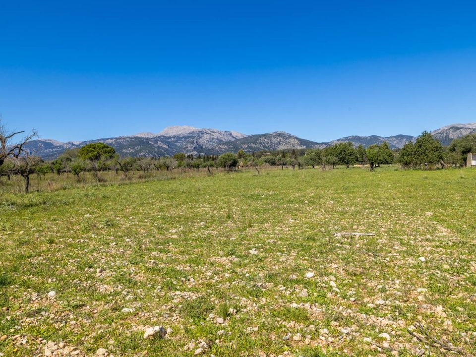 Helårsgrund i Selva, Mallorca - foto 2