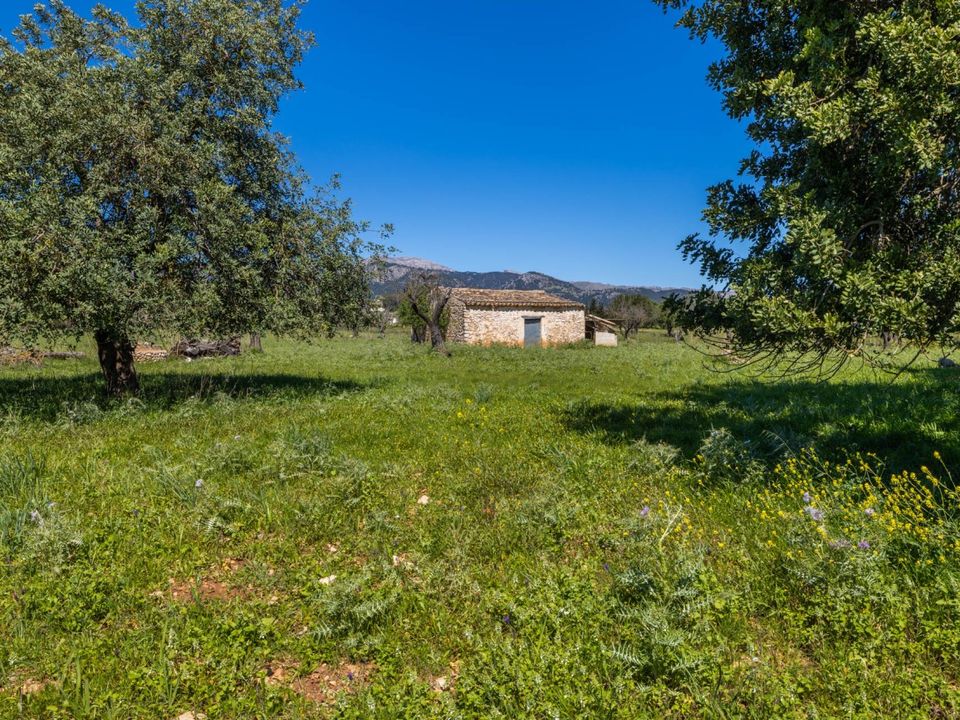 Helårsgrund i Selva, Mallorca - foto 3
