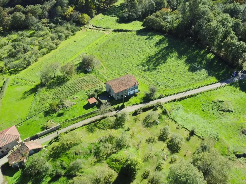Tomt i Nava, Asturias - bilde 3