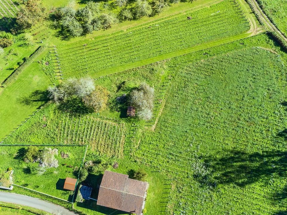 Tomt i Nava, Asturias - bilde 4