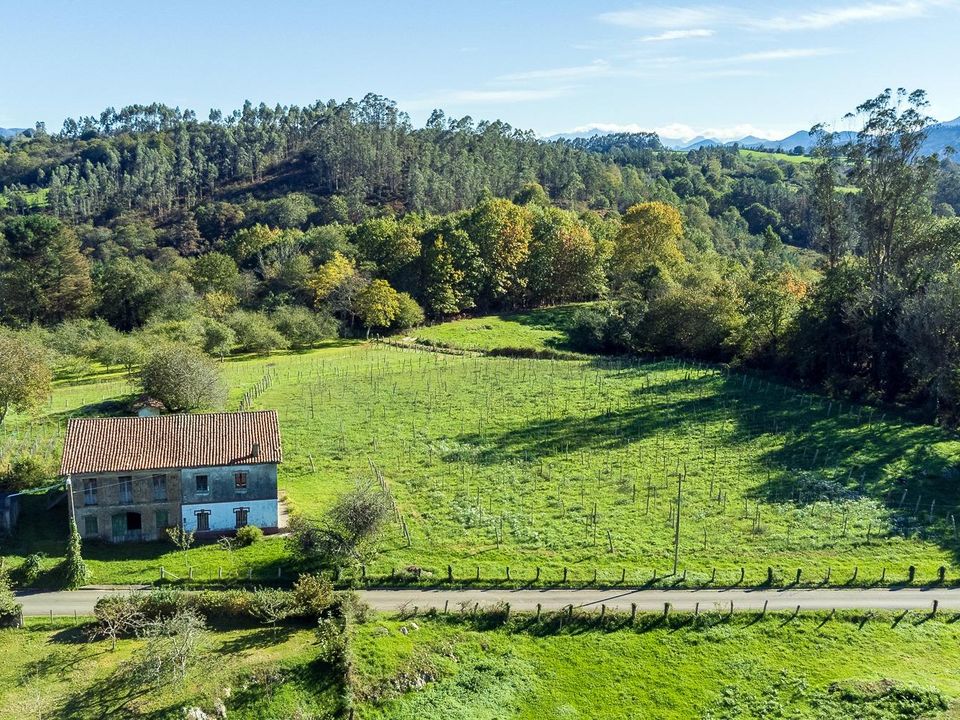 Tomt i Nava, Asturias - bilde 5