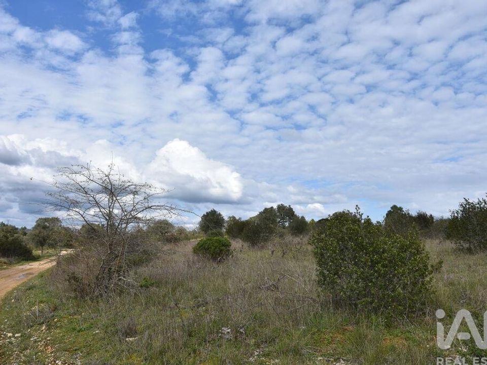 Helårsgrund i Ferreira do Zezere, Santarem - foto 5
