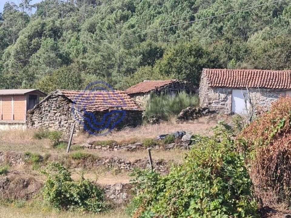 Landejendom i Sever do Vouga, Aveiro - foto 4